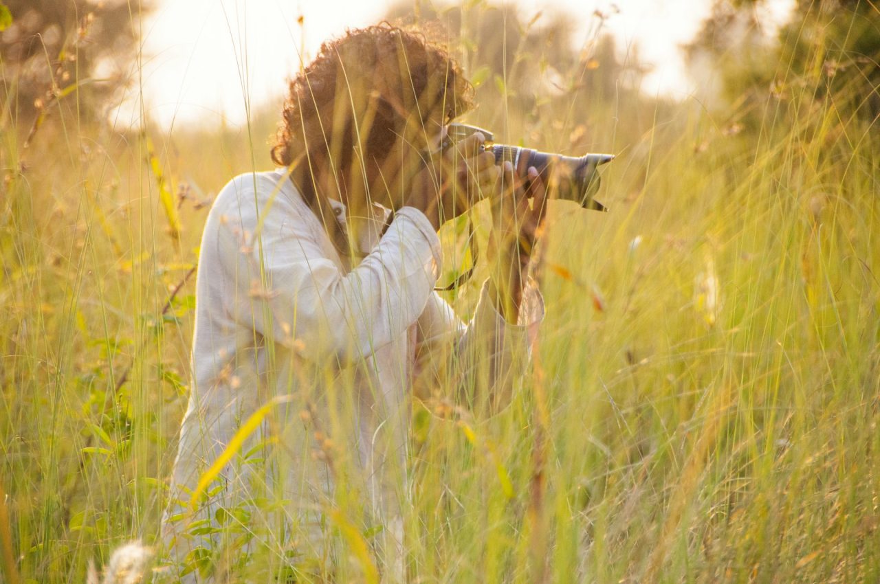 Wildlife-Photography